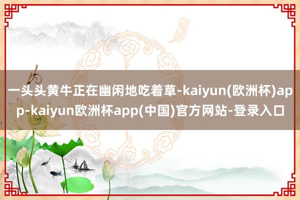 一头头黄牛正在幽闲地吃着草-kaiyun(欧洲杯)app-kaiyun欧洲杯app(中国)官方网站-登录入口