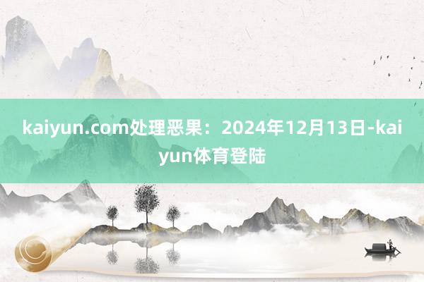 kaiyun.com处理恶果：2024年12月13日-kai