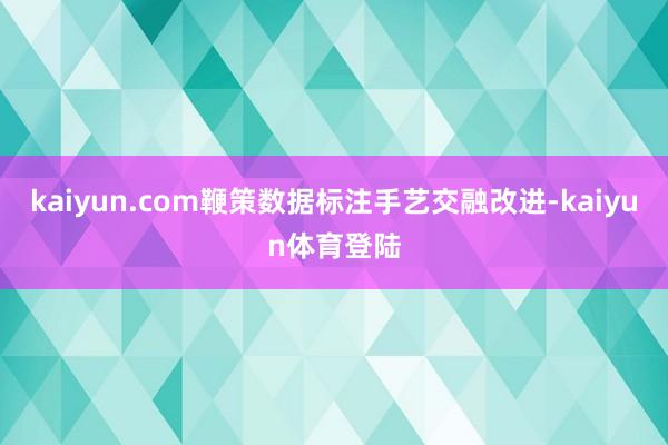 kaiyun.com鞭策数据标注手艺交融改进-kaiyun体