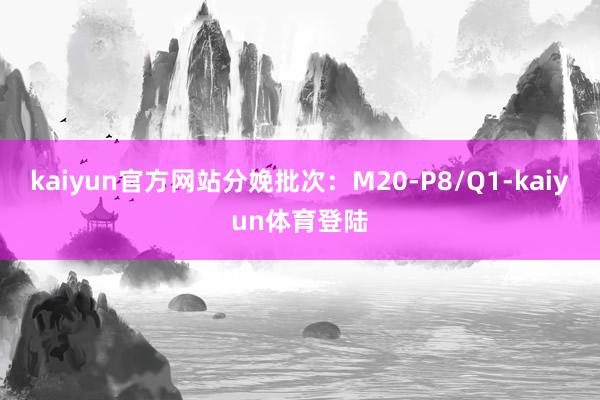 kaiyun官方网站分娩批次：M20-P8/Q1-kaiyu