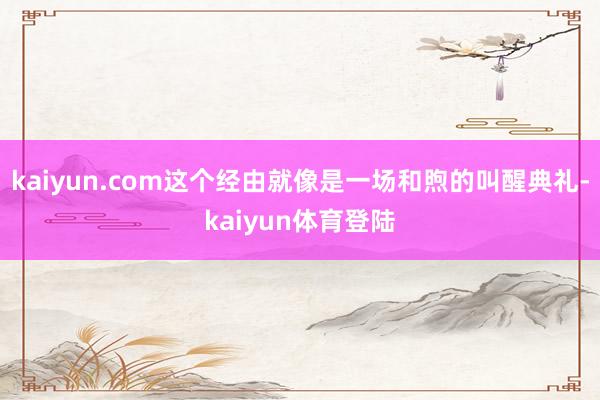 kaiyun.com这个经由就像是一场和煦的叫醒典礼-kai