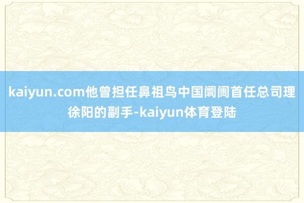 kaiyun.com他曾担任鼻祖鸟中国阛阓首任总司理徐阳的副